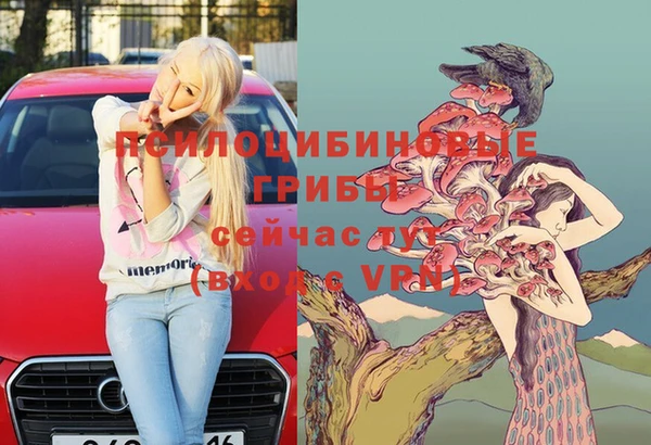 эйфоретик Армянск