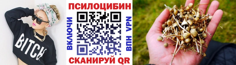 Галлюциногенные грибы Psilocybine cubensis  Грайворон 
